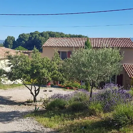 Amazing In With House A Mountain View Apt